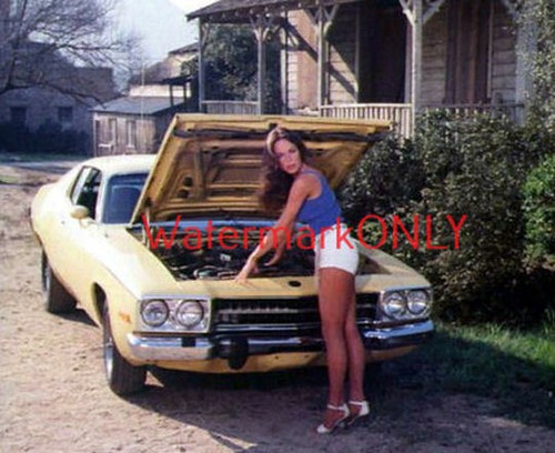 Bellissima foto pin - bellissima,