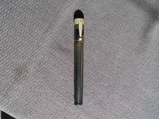 penna stilografica retrattile Waterman's Litiosina leggi