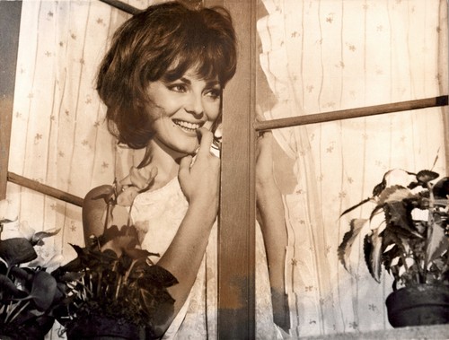 Cinema photo 1966 - photo, signore