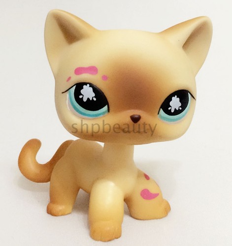 Mini pet 816 messiest - mini,