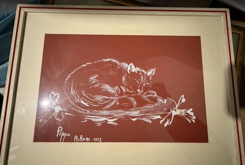 Ritratto gatto - gatto,