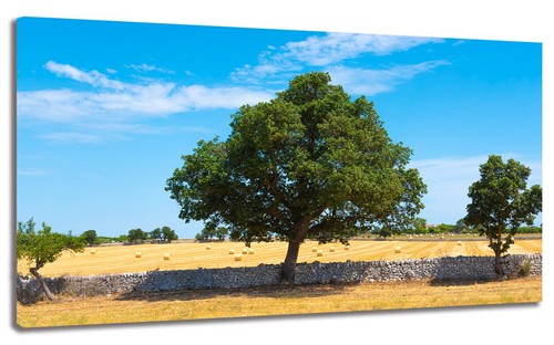 Quadro moderno campo grano - campo, di