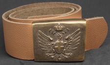 Cinturone con fibbia del regio - cinturone,