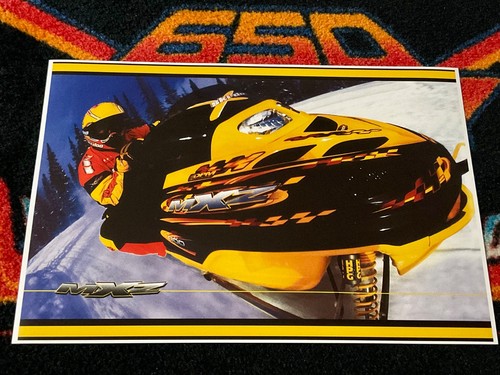 Poster motoslitta ski - 🏁,