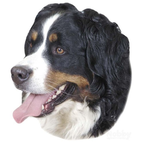 Adesivo nobby berner - nobby,