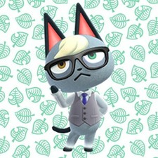 RAYMOND Amiibo - Animal