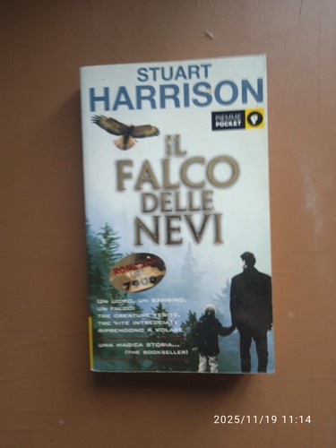 Falco delle nevi stuart - il,