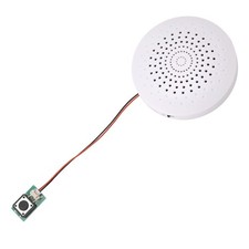 Scatola Modulo Audio USB 8MB