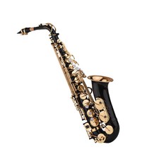 Sassofono contralto Eb sax