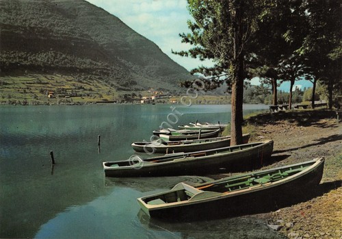 Cartolina spinone lago - cartolina,
