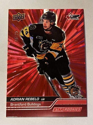 Adrian rebelo 2023 upper - rebelo, 2023-24