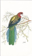 Cartolina d'artista firmata J