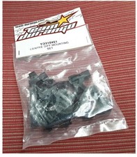 Vintage RC Team Durango