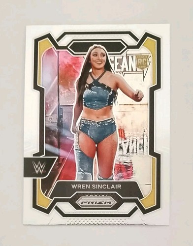 2024 panini prizm wwe - prizm,
