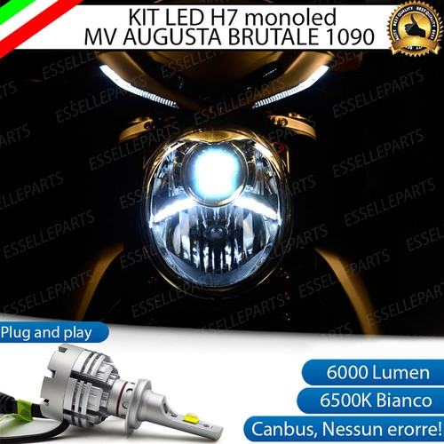 Lampada 6500k canbus - 6500k,