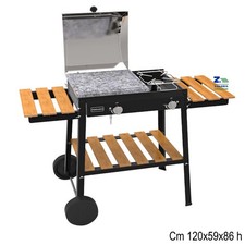 BARBECUE A GAS BIO COOKING