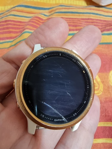 Garmin fenix plus solo - -solo, lcd