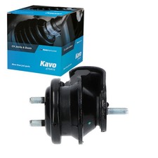 KAVO PARTS Supporto Motore