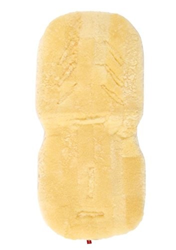 Kaiser 66001 - x, 100)