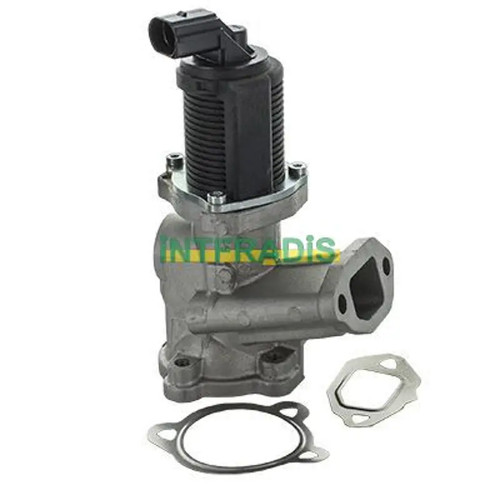 Valvola egr intfradis - 2553, per