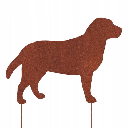 Figura cane labrador - cane,