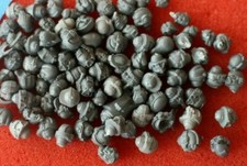 Games Workshop Heads Multi