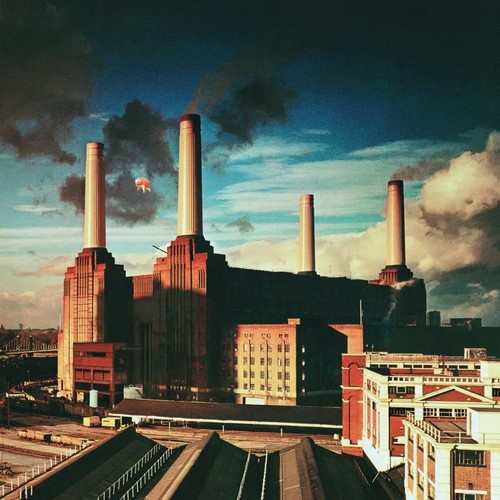 Pink floyd animals vinile - floyd,