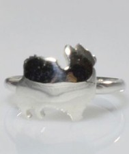 Anellino Chihuahua a pelo