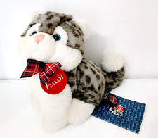 KITTY CAT tiger GATTO tigrato