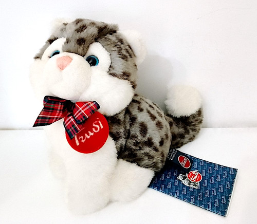 Kitty cat tiger gatto tigrato - cat,