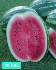 50 SEMI DI ANGURIA CRIMSON