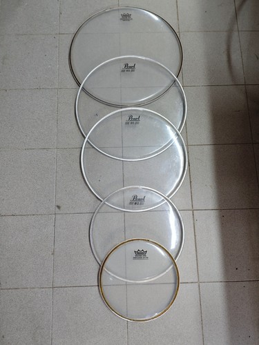 Remo ambassador pearl - remo,