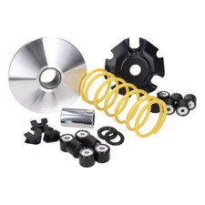 MF8607 Variatore Malossi