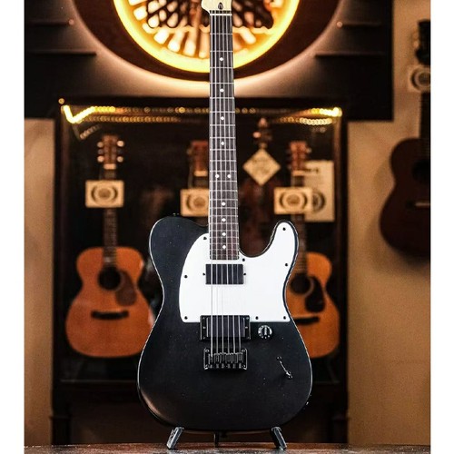 Chitarra elettrica jim root - jim,