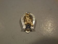 distintivo allevatori puledri cavalli