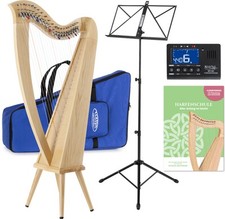 Arpa Celtica 22 Corde in Legno