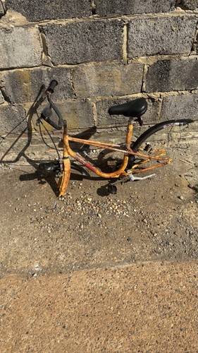 Raleigh speedway bike grifter - raleigh,