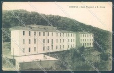 Massa Carrara Codena Case