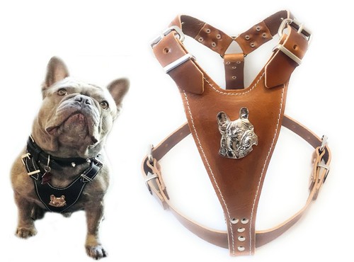 Imbracatura per cani pelle - imbracatura,