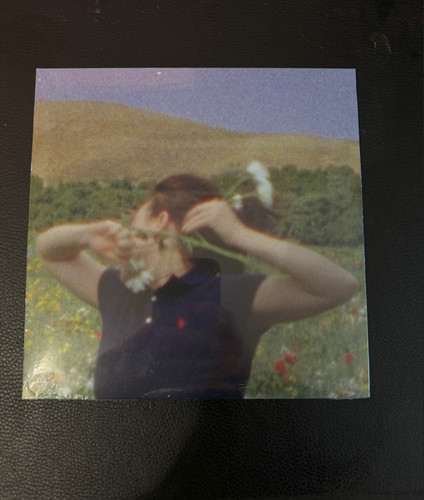 Billie eilish birds a - billie,