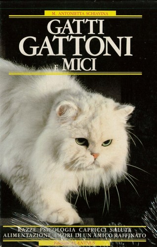 Gatti gattoni amici ed - gattoni,
