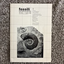 Fossili storia della vita - storia, sull