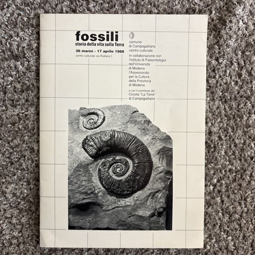 Fossili storia della vita sull - della,