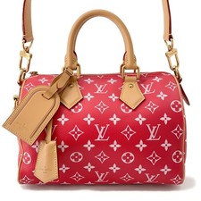 Bandouliere Louis Vuitton