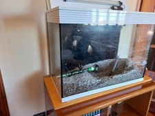 Acquario completo Askoll 140 lt usato danneggiato (perdita Su uno Spigolo)