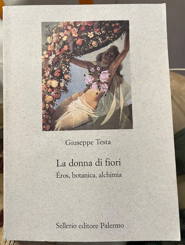 Giuseppe testa donna - testa-la,