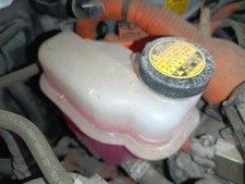 vaschetta acqua radiatore