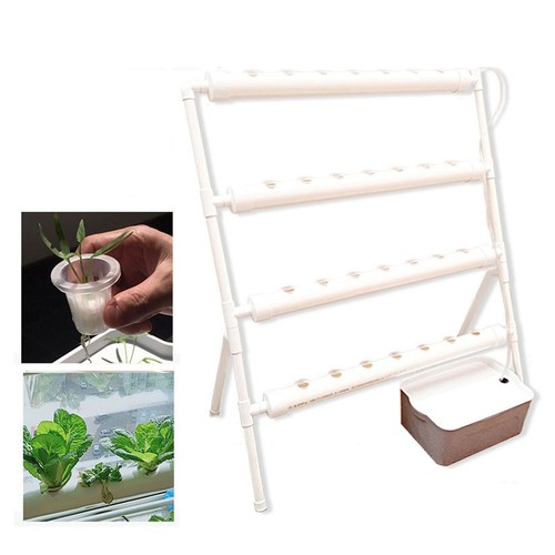 Kit coltivazione idroponica - , 36
