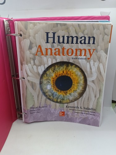 Human anatomy sixth edition - "human, anatomy"