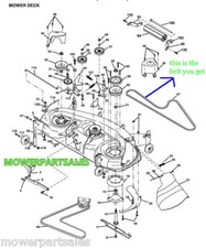 CINGHIA PONTE TAGLIERINA